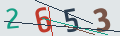 verifycode